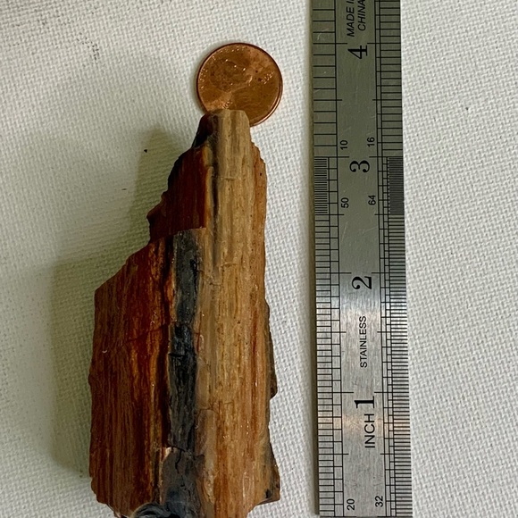 Red Petrified Wood Limb Orange Black Rough Display Specimen 3.3"x1.75" 142g 5oz - Picture 3 of 15